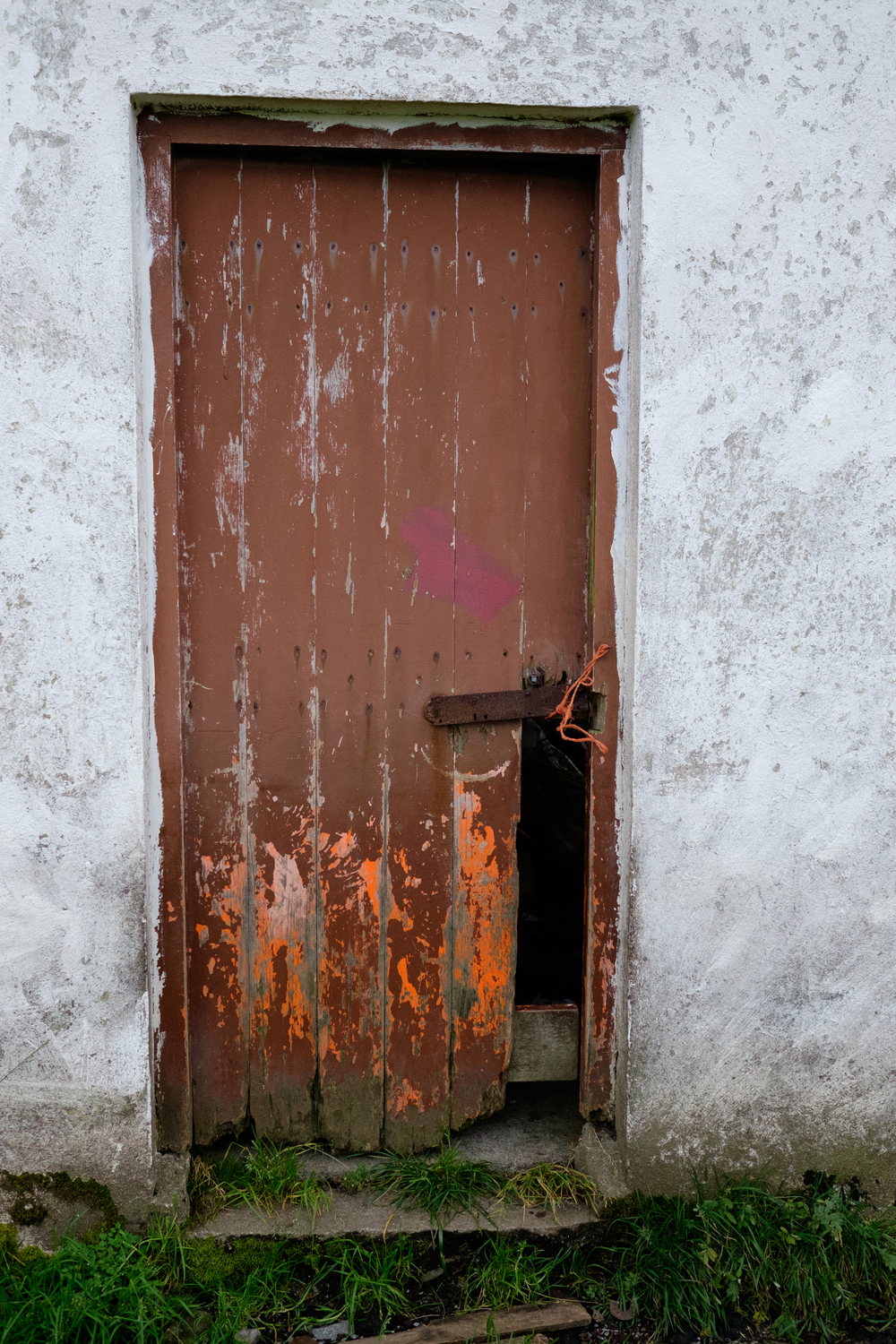 Why Door Frames Rot & When to Call a Pro for Repair